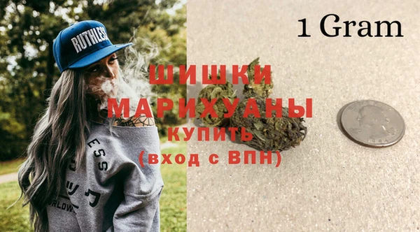 ПСИЛОЦИБИНОВЫЕ ГРИБЫ Баксан
