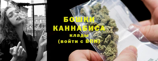 ПСИЛОЦИБИНОВЫЕ ГРИБЫ Баксан