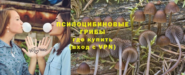 ПСИЛОЦИБИНОВЫЕ ГРИБЫ Баксан