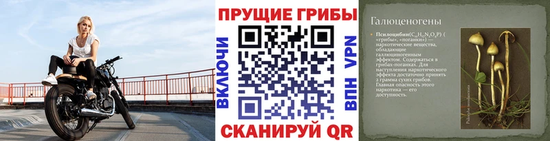 Галлюциногенные грибы ЛСД Уфа